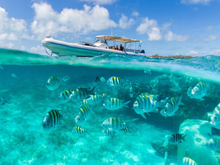 LADY JOY Christensen 157 - teeming marine life of the Bahamas LADY JOY Christensen 157 - teeming marine life of the Bahamas