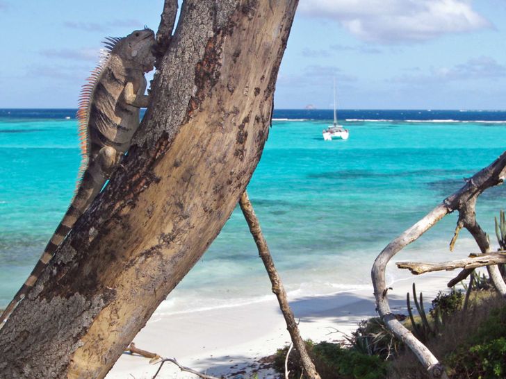 ISOLABLUE - Views at anchor ISOLABLUE - Views at anchor