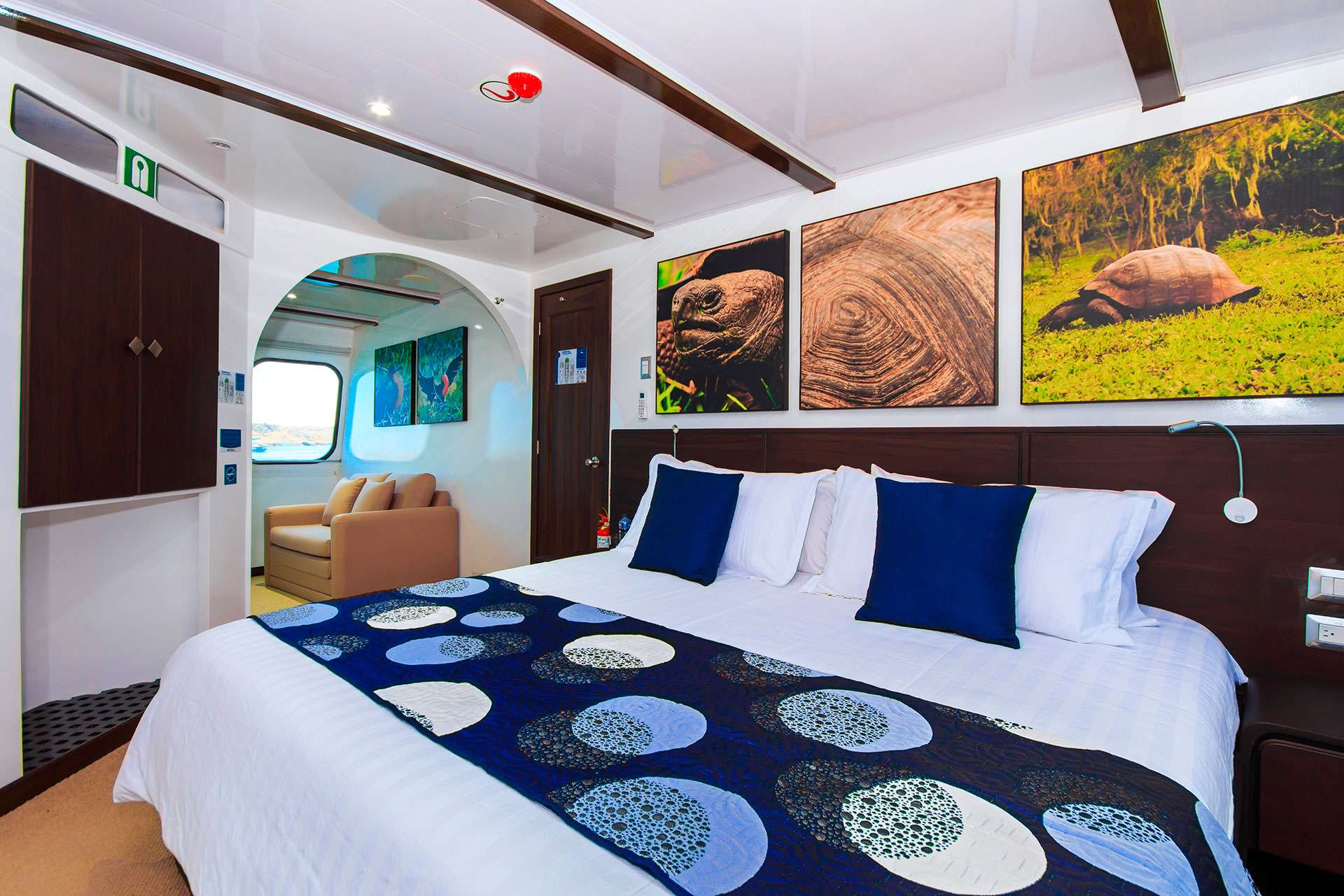 Charter Yacht NATURAL PARADISE - Custom Built - 9 Cabins - Galapagos Islands