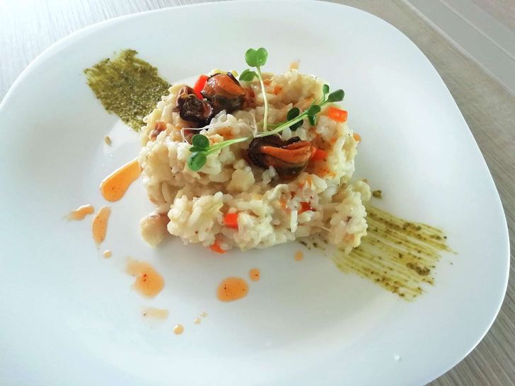 ADRIATIC LION Lagoon 620 - sample dish 1 ADRIATIC LION Lagoon 620 - sample dish 1