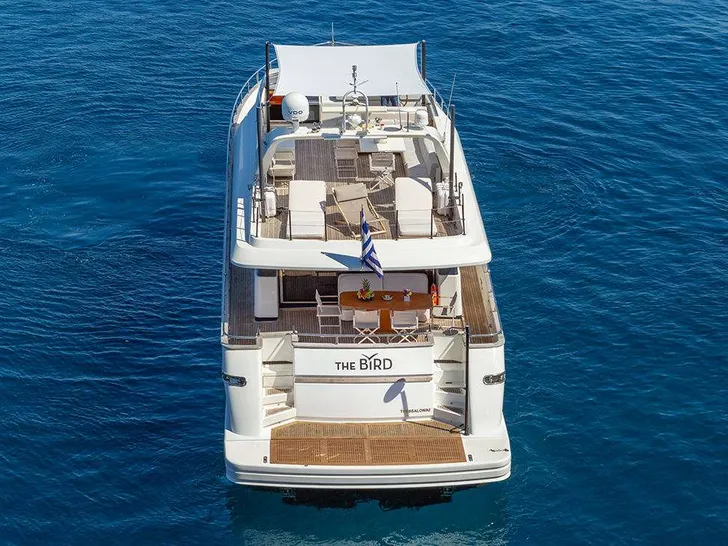 THE BIRD - Stern THE BIRD - Stern