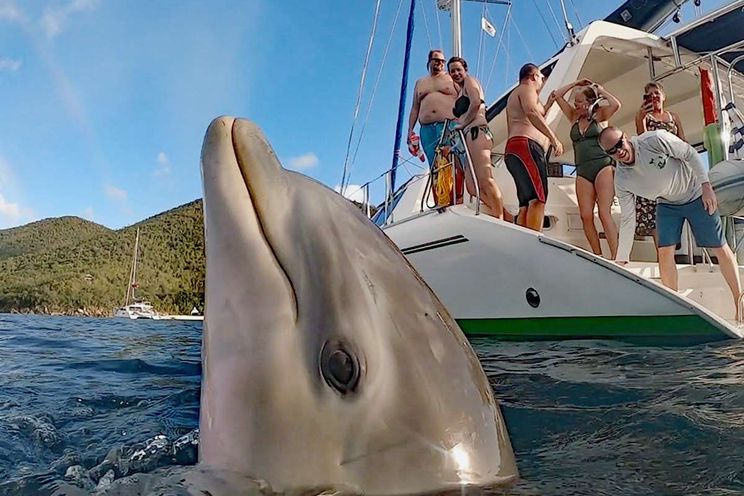 Charter Yacht KUMA TOO - Leopard 47 - 3 Cabins - Tortola - Anegada - Virgin Gorda - BVI - Caribbean