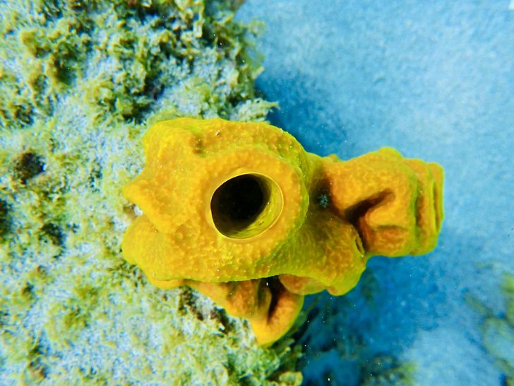 Beautiful reefs