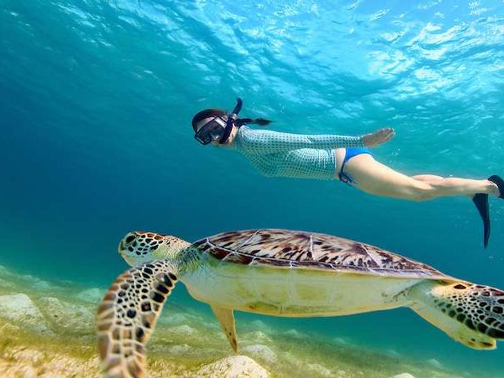 ABUNDANCE Fountaine Pajot Helia 44 - swimming with the turtles ABUNDANCE Fountaine Pajot Helia 44 - swimming with the turtles