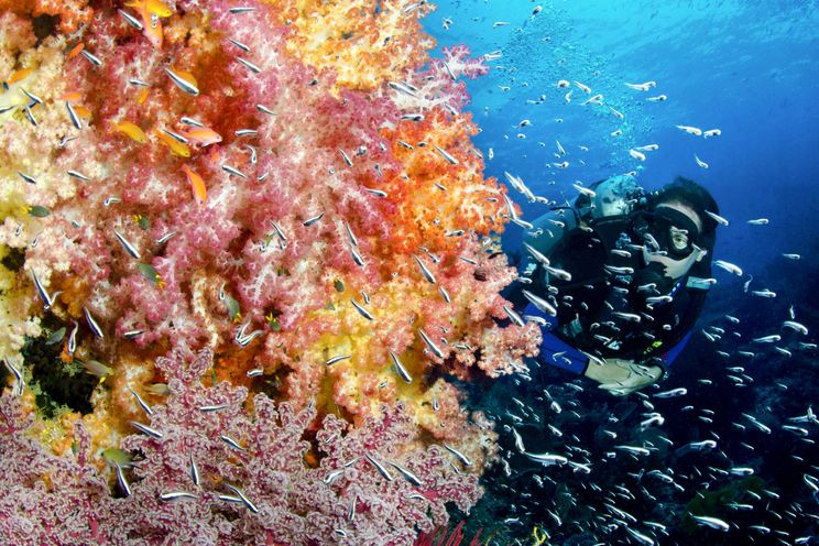 Charter Yacht SI DATU BUA - Phinisi 40m - 3 Cabins - Labuan Bajo - Komodo - Ambon - Raja Ampat - Indonesia