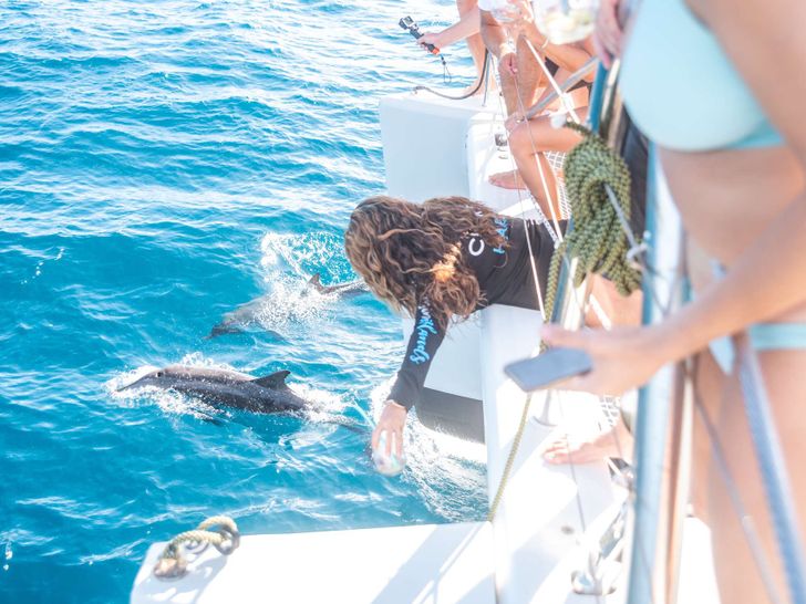 RESPITE AT SEA Lagoon 56 - playing with the dolphins RESPITE AT SEA Lagoon 56 - playing with the dolphins