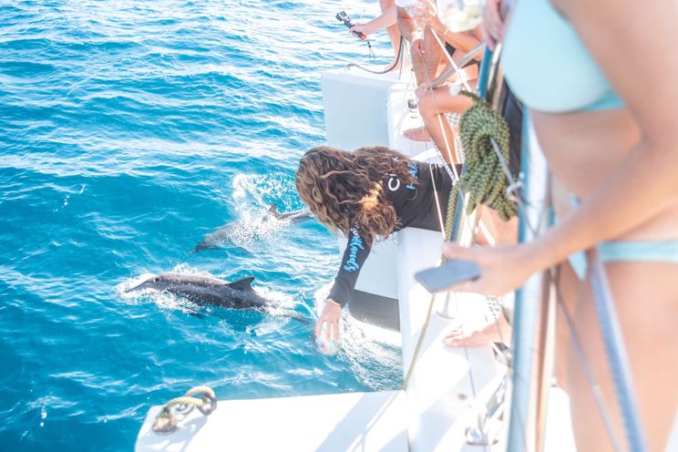 Charter Yacht RESPITE AT SEA - Lagoon 56 - 3 Cabins - St Thomas - St John - St Croix - USVI - Caribbean