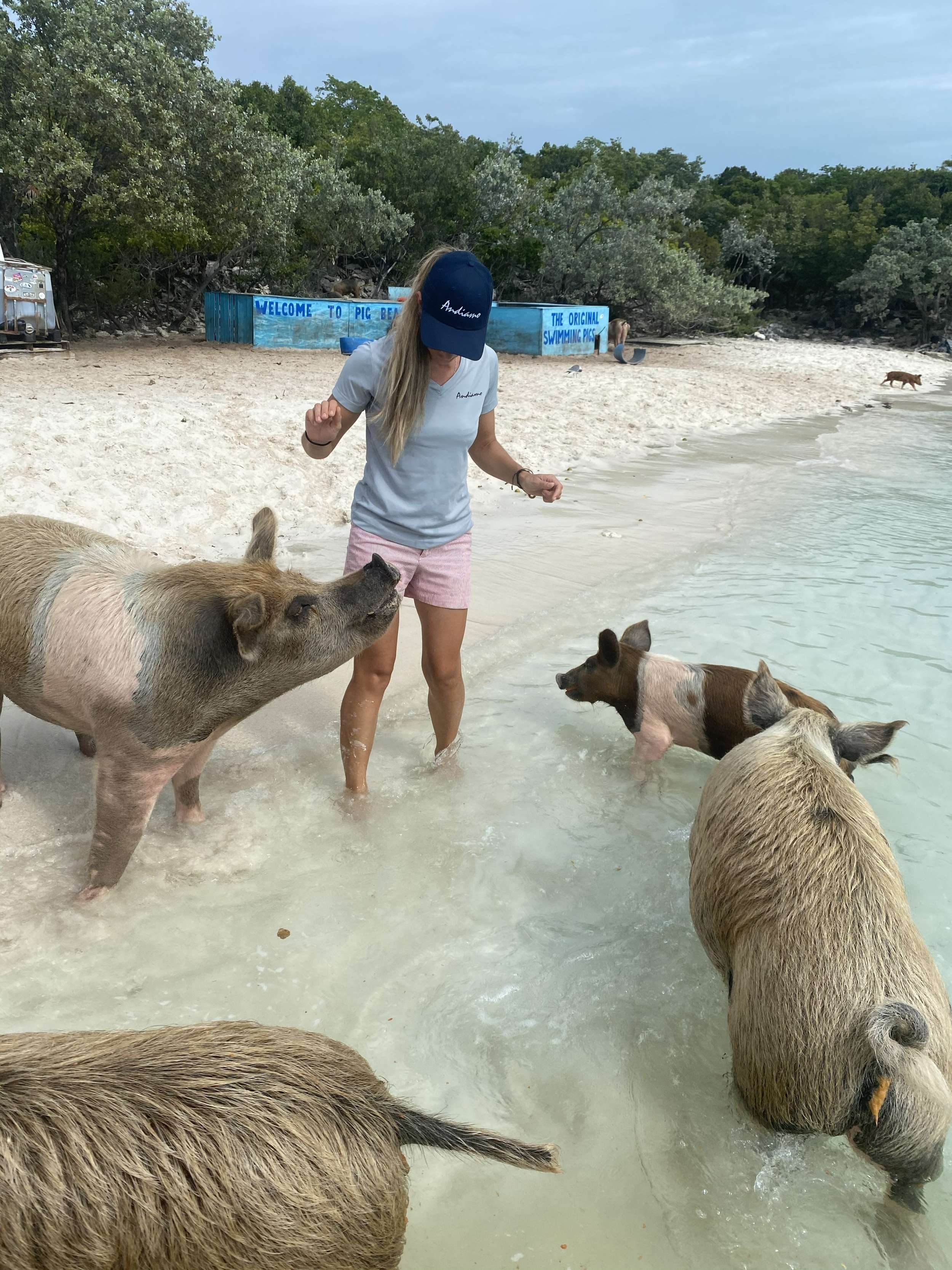 ANDIAMO Symbol 92 - Bahamas island pigs