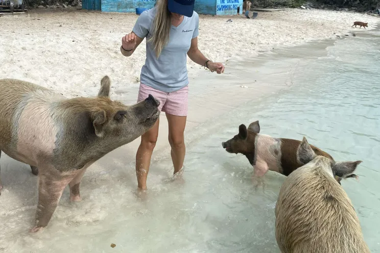 Charter Yacht ANDIAMO - Symbol 92 - 3 Cabins - Nassau - Exumas - Bahamas