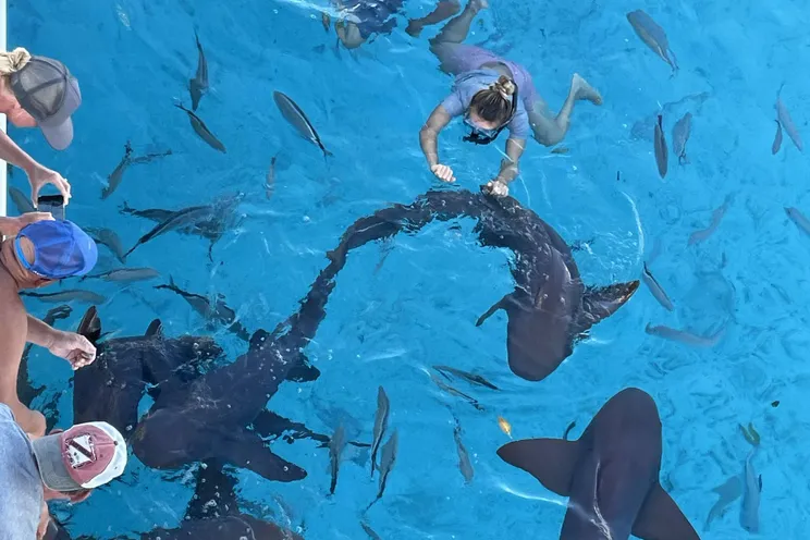 Charter Yacht ANDIAMO - Symbol 92 - 3 Cabins - Nassau - Exumas - Bahamas