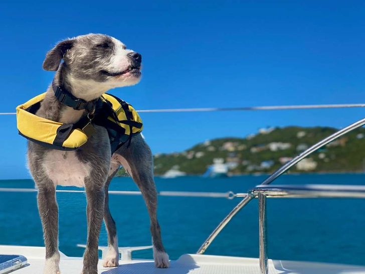 First Mate First Mate