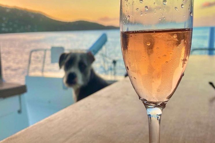 Charter Yacht IREMIA - Fontaine-Pajot 44 - 2 Cabins - Virgin Islands - St Thomas - Tortola - Virgin Gorda - St John