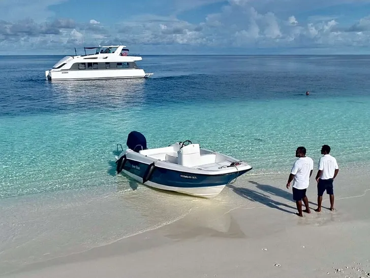 OVER REEF - OVER REEF -