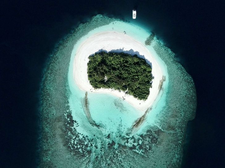 OVER REEF - OVER REEF -