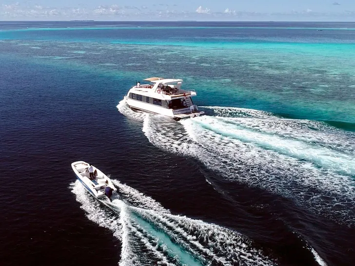 OVER REEF - OVER REEF -