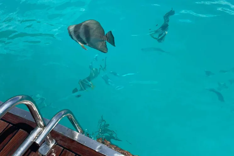 Charter Yacht REVE2MER - Lagoon 620 - 4 Cabins - Olbia - Porto Cervo - La Maddalena - Sardinia - Italy