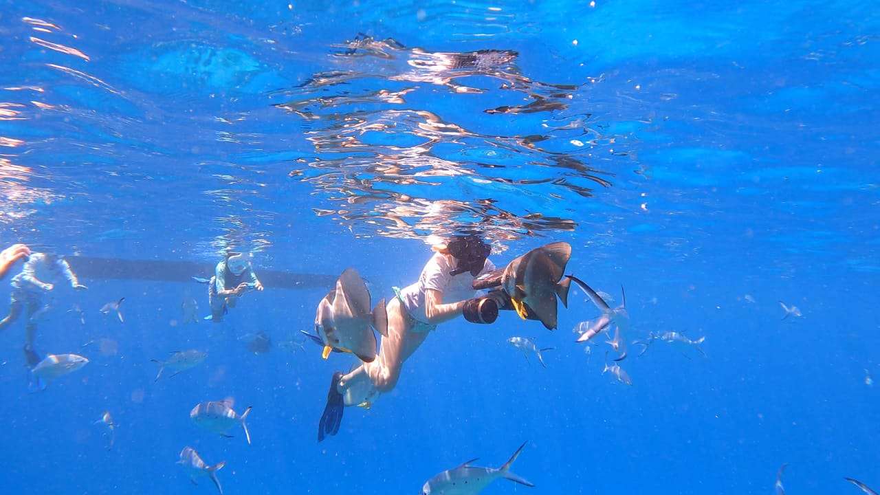 REVE2MER Lagoon 620 - sea scooter