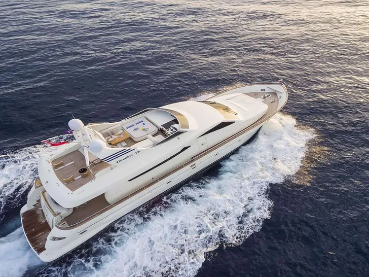GORGEOUS Canados 72 - profile GORGEOUS Canados 72 - profile