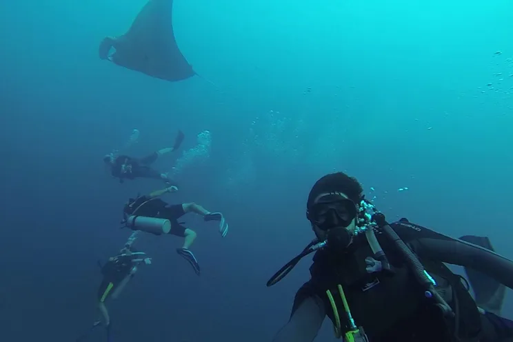 Charter Yacht FREEDOM - Nautitech 46 - 4 Cabins - Grenadines - Bequia - Mustique