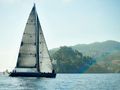 AORI - Wally 24 m,main profile,sail down