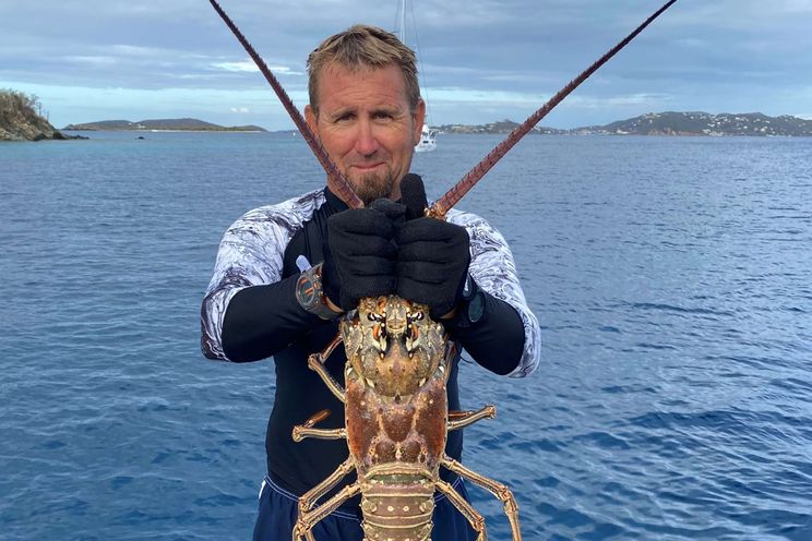 Charter Yacht DRAGONFLY - Lagoon 620 - 4 Cabins - Tortola - Anegada - Virgin Gorda - BVI - Caribbean