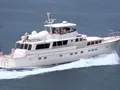 KOALA Cruising KOALA Cruising