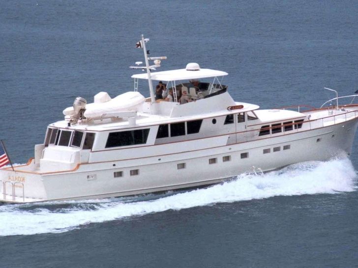 KOALA Cruising KOALA Cruising