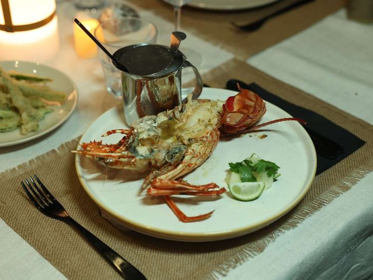 PURPOSE Fountaine Pajot Saba 50 - lobster dish PURPOSE Fountaine Pajot Saba 50 - lobster dish