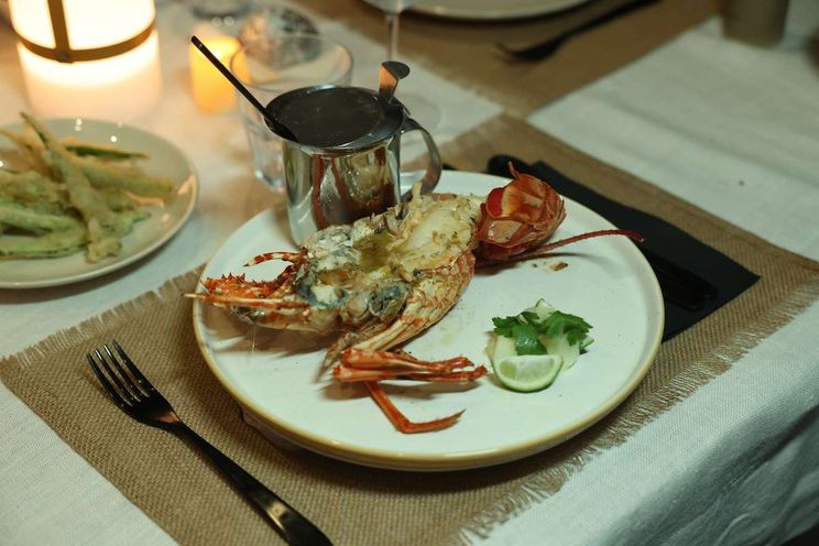 Charter Yacht PURPOSE - Fountaine Pajot Saba 50 - 5 Cabins - Nassau - Exumas - Bahamas