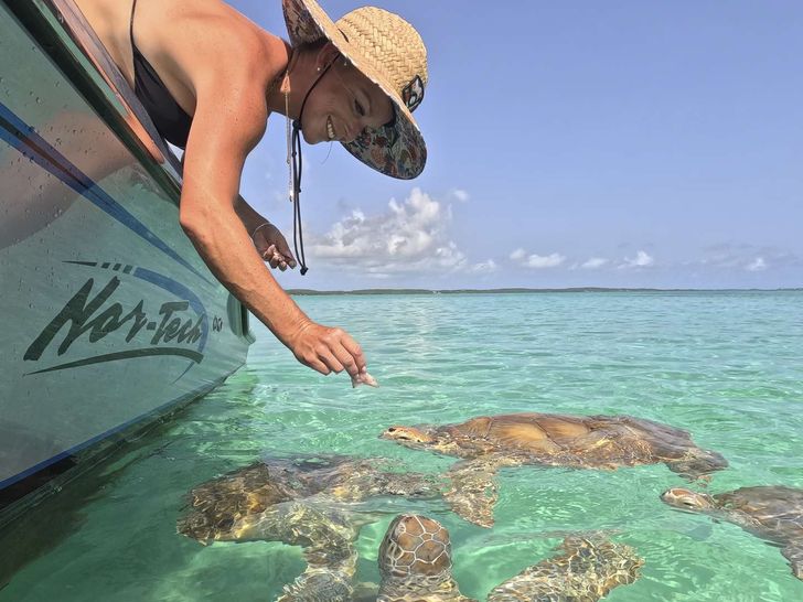 ENTREPRENEUR Ocean Alexander 35R - playing with the turtles ENTREPRENEUR Ocean Alexander 35R - playing with the turtles