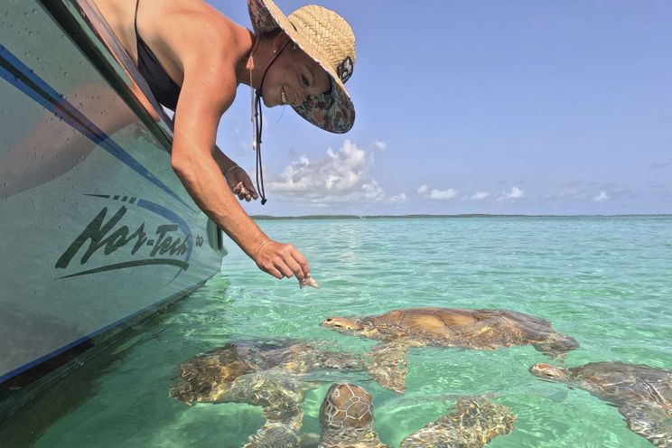 Charter Yacht ENTREPRENEUR - Ocean Alexander 35R - 5 Cabins - Nassau - Exumas - Bahamas