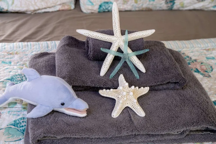 Charter Yacht WHISPERS II - Lagoon 560 - 4 Cabins - Nassau - Exumas - Bahamas