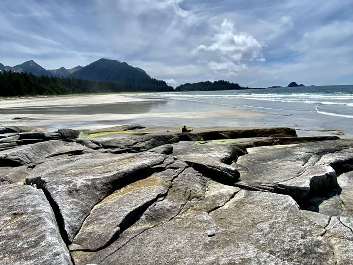 Sea Lion Cove beach