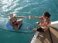 EMYSA Leopard 58 - Crystal Kayak EMYSA Leopard 58 - Crystal Kayak