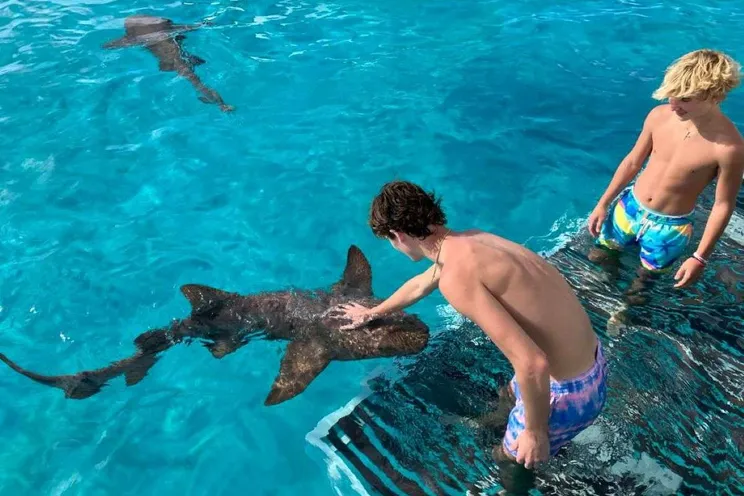 Charter Yacht NAUTI DOGS 5.4 - Bali 5.4 - 4 Cabins - Nassau - Exumas - Bahamas