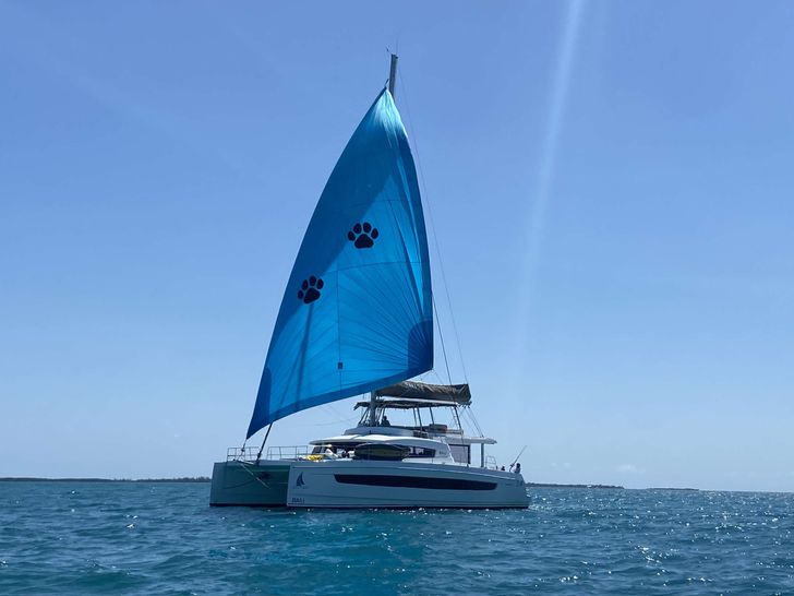 NAUTI DOGS 5.4 Bali 5.4 - main profile NAUTI DOGS 5.4 Bali 5.4 - main profile