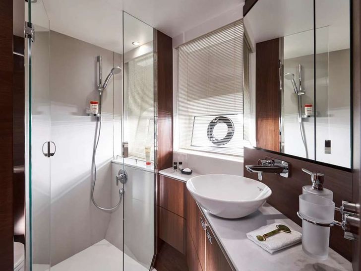 CHAMELEON 3 - Princess S66,queen cabin bathroom CHAMELEON 3 - Princess S66,queen cabin bathroom