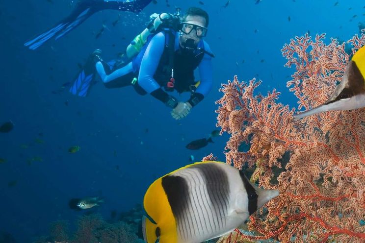 Charter Yacht TRU NORTH - Fountaine Pajot Alegria 67 - 4 Cabins - BVI - Tortola - Virgin Gorda