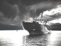 SOMETHING COOL CRN Ancona 45m - black and white profile SOMETHING COOL CRN Ancona 45m - black and white profile