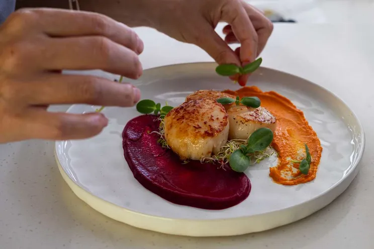 Charter Yacht SALTY DOG - Leopard 50 - 4 Cabins - Tortola - Anegada - Virgin Gorda - BVI - Caribbean