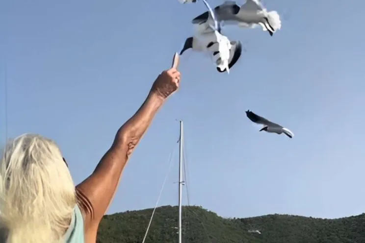 Charter Yacht SUN GODDESS - Royal Cape 53 - 3 Cabins - Tortola - Anegada - Virgin Gorda - BVI - Caribbean