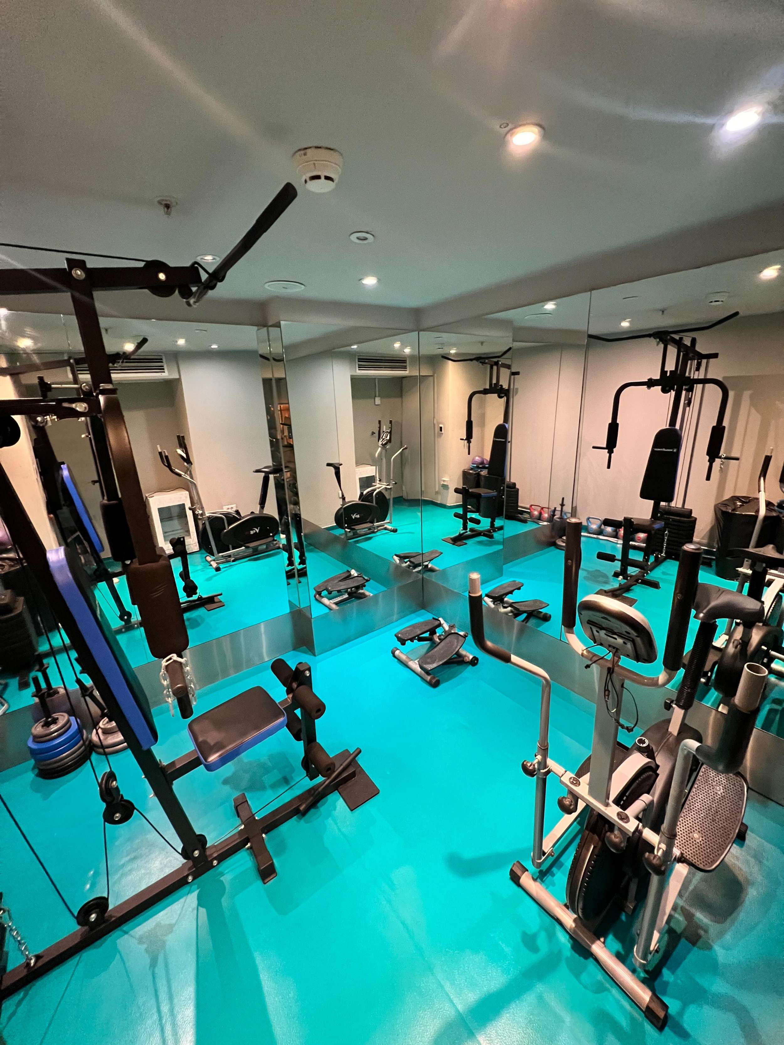 ELYSIUM Astillero Na 210 - gym