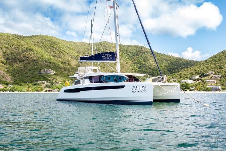 Charter Yacht ABBY NORMAL TO - Robertson and Caine Leopard 50 - Tortola - Anegada - Virgin Gorda - BVI - Caribbean