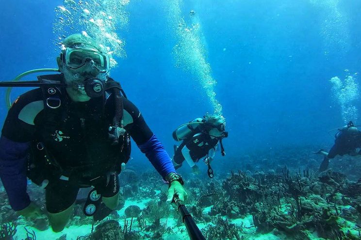 Charter Yacht NOVA - Robertson and Caine 43 - 3 Cabins - St Martin - St Barths - Leewards - Caribbean