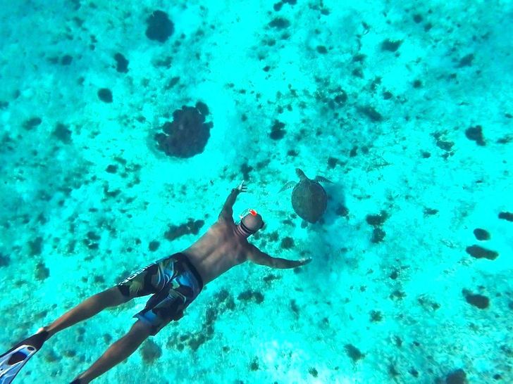 NOVA Robertson and Caine 43 - freediving NOVA Robertson and Caine 43 - freediving