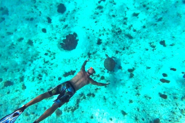 Charter Yacht NOVA - Robertson and Caine 43 - 3 Cabins - St Martin - St Barths - Leewards - Caribbean