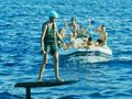 ELVIS MAGIC Oyster Marine 66 - water toys ELVIS MAGIC Oyster Marine 66 - water toys