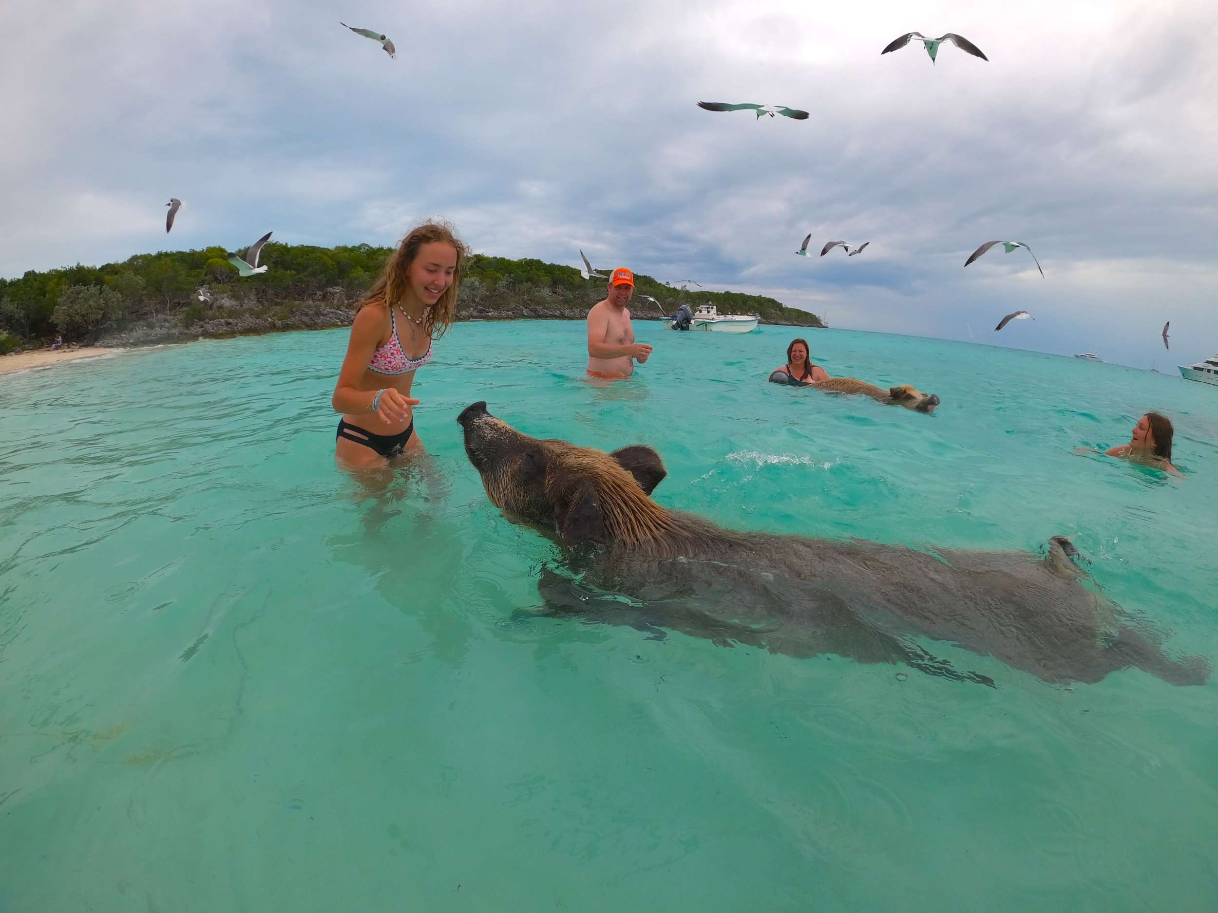 Charter Yacht PANDORA - Alliaura Marine Privilege 48 - 3 Cabins - Nassau - Exumas - Bahamas