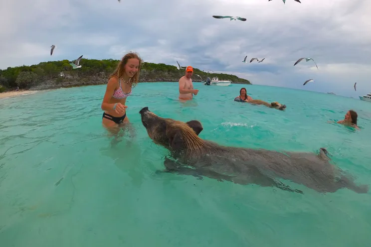 Charter Yacht PANDORA - Alliaura Marine Privilege 48 - 3 Cabins - Nassau - Exumas - Bahamas