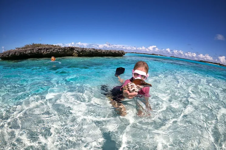 Charter Yacht PANDORA - Alliaura Marine Privilege 48 - 3 Cabins - Nassau - Exumas - Bahamas